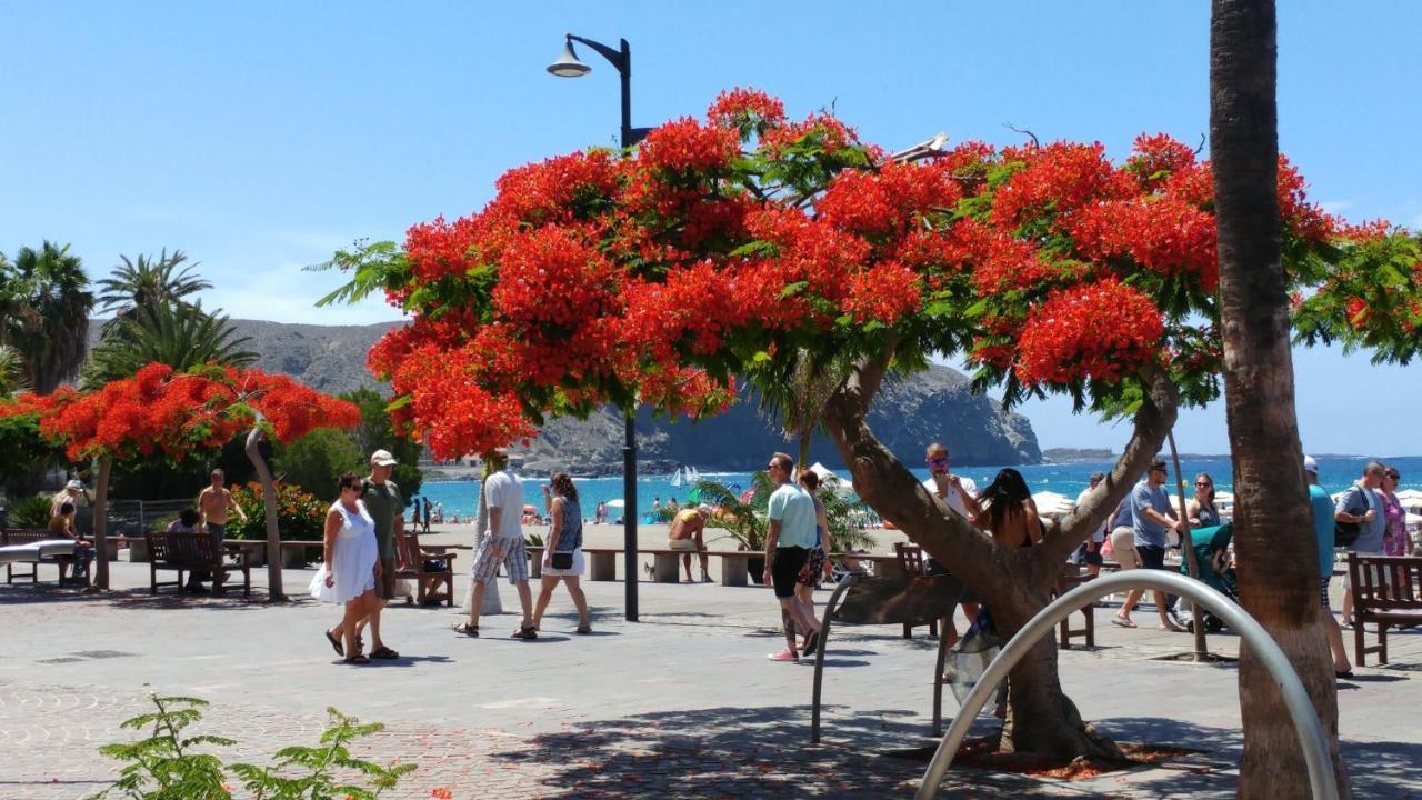 Playa De Los Cristianos Casa Adriano Экстерьер фото